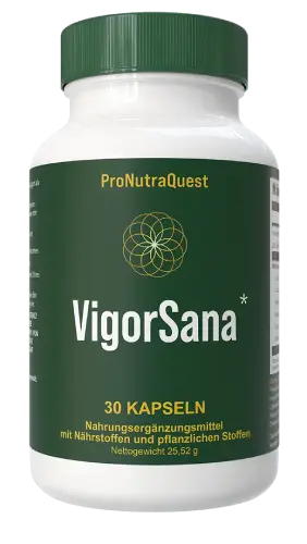 VigorSana